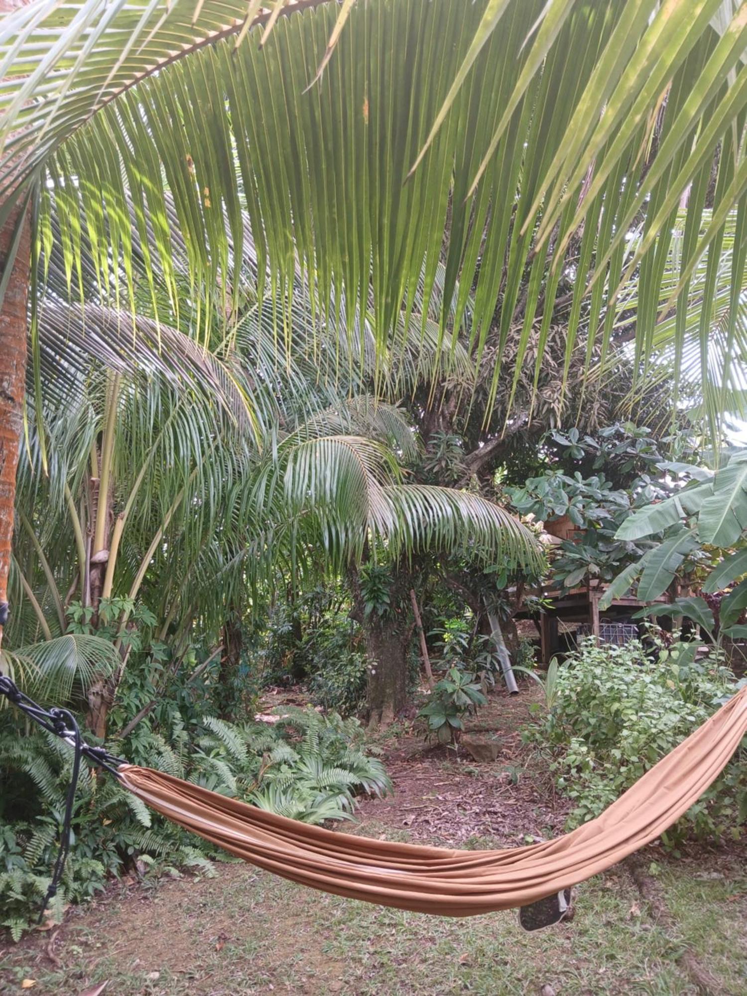 Shuit Bambou Villa La Trinité Buitenkant foto